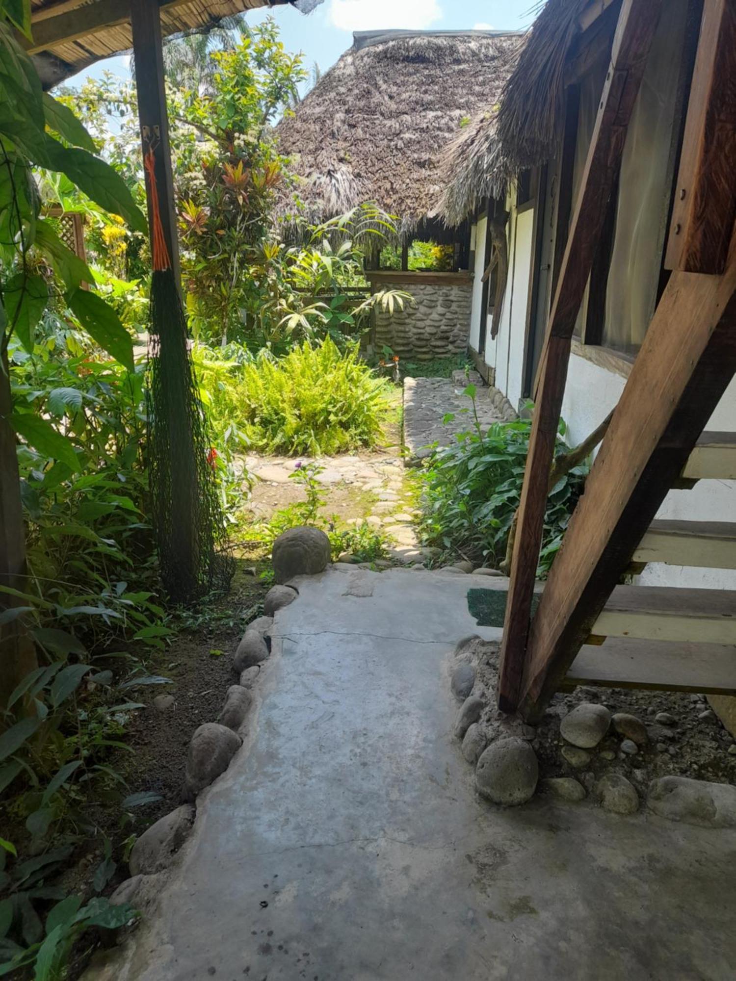 Hotel Casa De Huespedes Franceamazonia à Puerto Misahuallí Extérieur photo